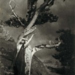 The Dying Cedar, 1906